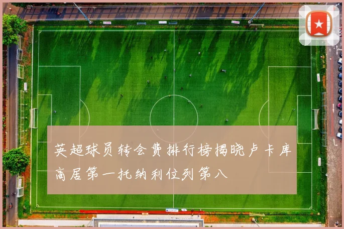 英超球员转会费排行榜揭晓卢卡库高居第一托纳利位列第八