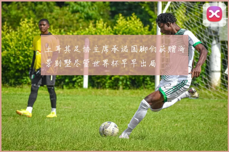 土耳其足协主席承诺国脚们获赠海景别墅尽管世界杯早早出局